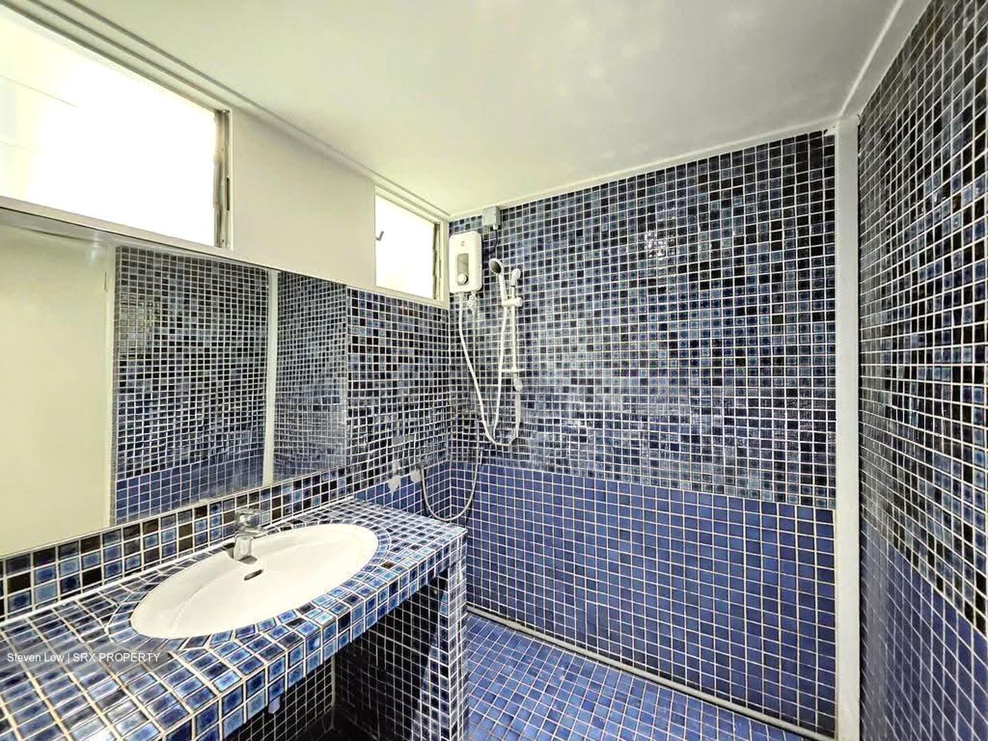 Dunearn Road (D11), Condominium #612091411